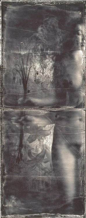 almavio:© Hiroshi Osaka • Venus#09, 1990 