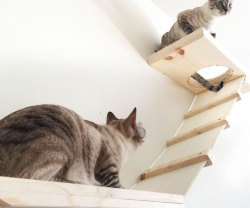 awesomeshityoucanbuy:  Double Decker Cat Complex Give Mittens the secluded hangout he’s always wanted by installing the double decker cat complex in your humble abode. The minimalist design works with any room’s decor while providing your kitty with