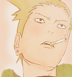 tokiiniame-deactivated20170913:  (ﾉ´▽｀)ﾉ naruto characters with their partners