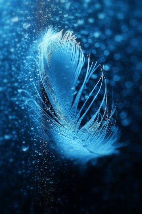 blue-ice-veins:  Traces Of Dreams by Lafugue Logos