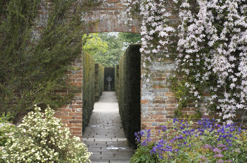 decordesignreview:Clematis montana var rubens ‘Tetrarose’ and a view through an arch to the Yew Walk