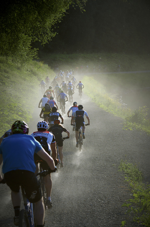 The Bike Race