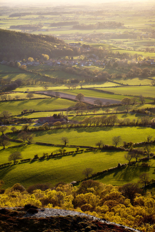 mkeelerh: wanderlusteurope:  Yorkshire Dales, England  Almost heaven. I cannot wait to visit.