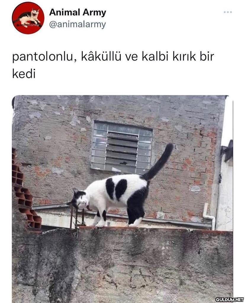 Günaydın...