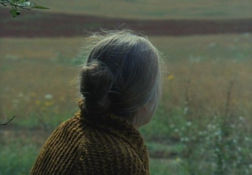 thefilmstage:  ivanschildhood: This is so beautiful, passes an emotion on me, the four stages of a w