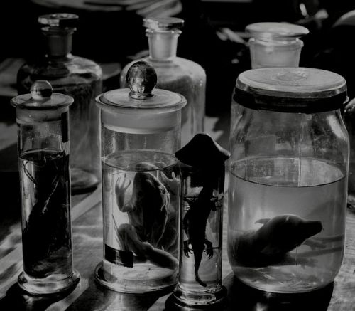 absinthecorpse.tumblr.com/post/87619169221/
