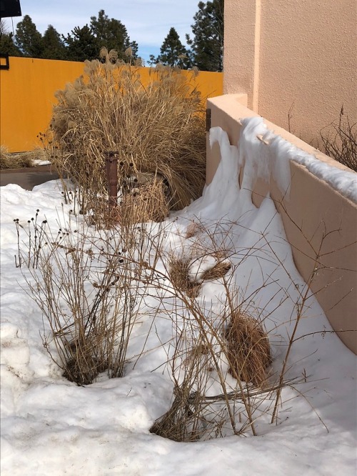 DENVER BOTANIC GARDEN, CO: inside and out.