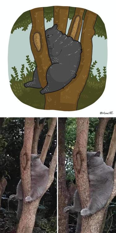 articulate-anxious-atheist:jaubaius:Tactoon-cat Cartoons With each I was like “Surely the cat doesn’t actually look like that in the image. surely this is an exaggeration.” but then I scrolled and yes, the cats are liquid