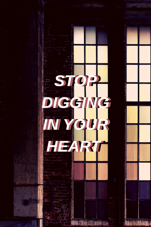 burncrashbromance: 5 seconds of summer // empty wallets