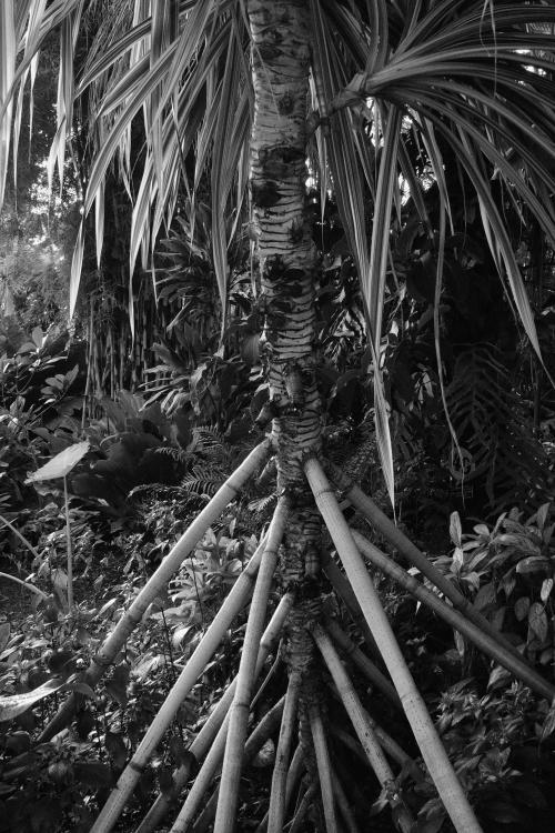 christopher-warren:   Original photography by Christopher Warren    