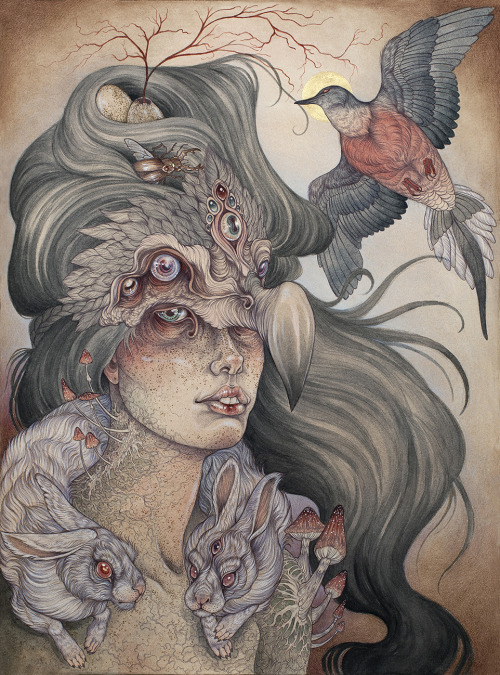caitlinhackettart:“The Dodo’s Widow”, 22" by 30", ballpoint pen, watercolor, colored pencil and graphite on paper, 2013. 
