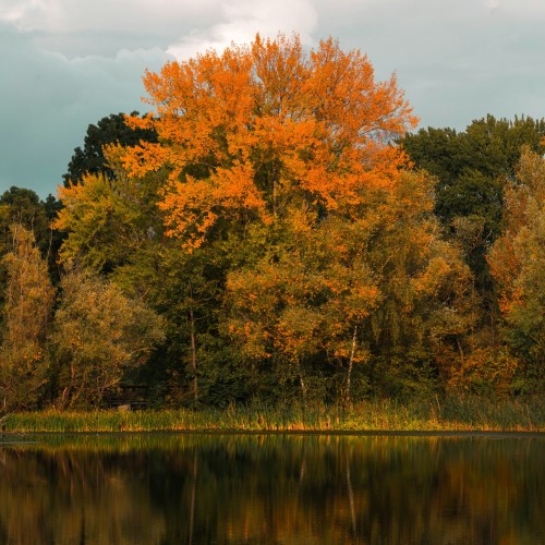 herbst