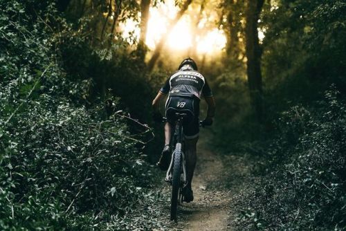 imbrazodehierro: Saturday afternoon, 7:50pm in a middle of a woods taking some photos of 3h MTB endu