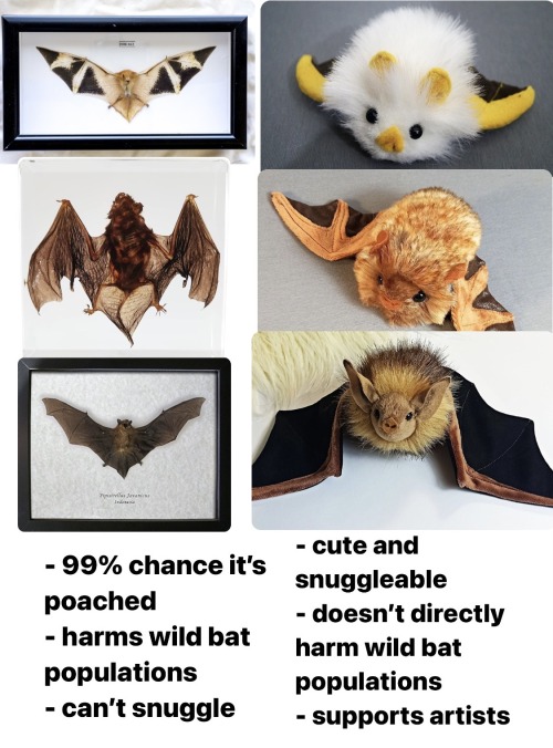 Check Out This Plush Artist!