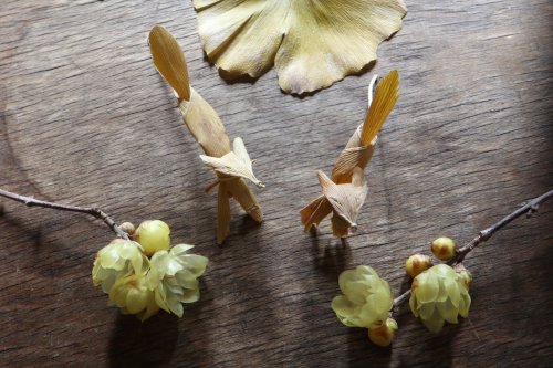 SUPER CUTE frolicking foxes made fromginkgo leaves, new step by step by Inori (you can find the vide