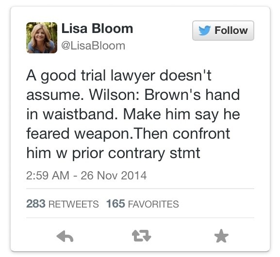 shanellbklyn:  t-ii:  Civil rights attorney/MSNBC legal analyst Lisa Bloom points