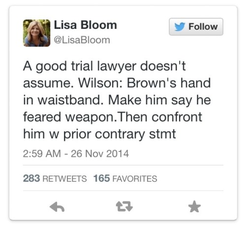 t-ii:Civil rights attorney/MSNBC legal analyst Lisa Bloom points out that Darren Wilson’s cross-exam