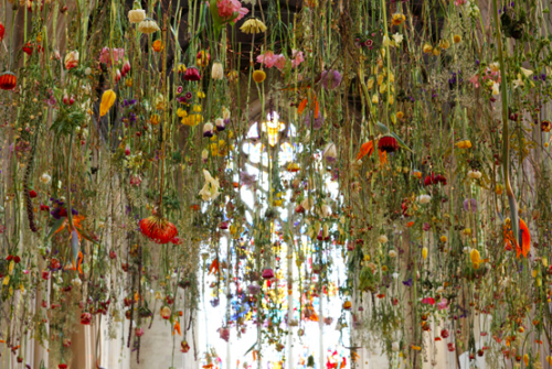 atundratoadstool:Always bring flowers | Rebecca Louise Law