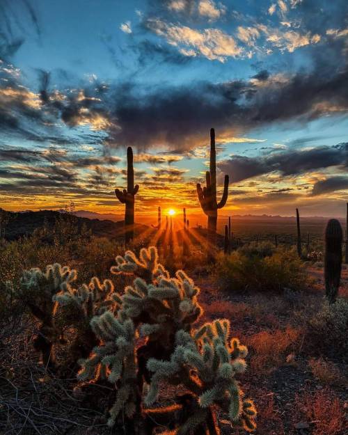 legendary-scholar:    Picacho Peak, Arizona.