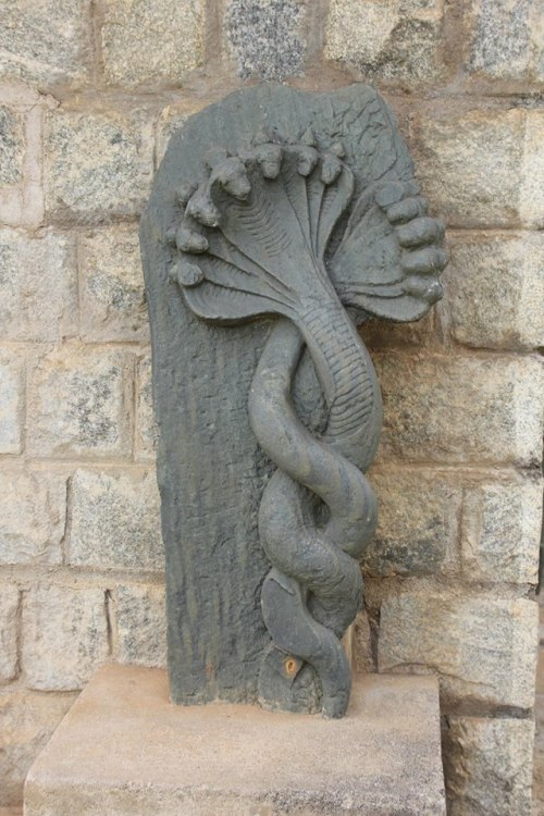 Nagas, southern India