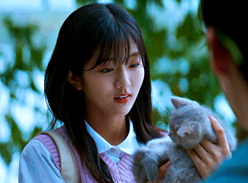 TWINKLING WATERMELON (2023)I Was Worried You'd Be Bored Alone. I Made Sure To Pick Out A Kitty That Looked