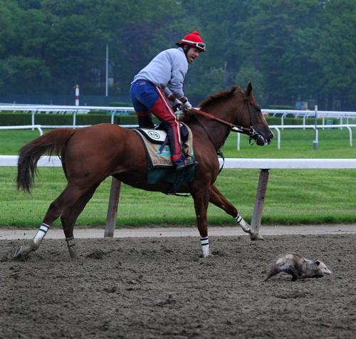 500fairytales: this is the greatest racing picture ever.