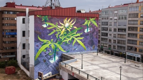 thepenumbrasshadow: honeythistledesigns: itscolossal: Soaring Murals of Plants on Urban Walls by Mon