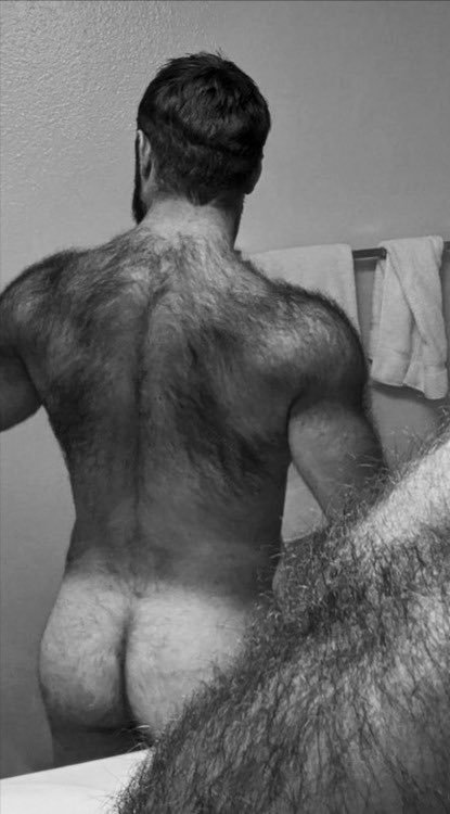 harryperers:  furrydudeposts:  Lotsa fur 👅👅👅   Beautiful ass and nice furry back, great to put your nose into when pounding that hairy hole   SUPERBE DOS POILU !