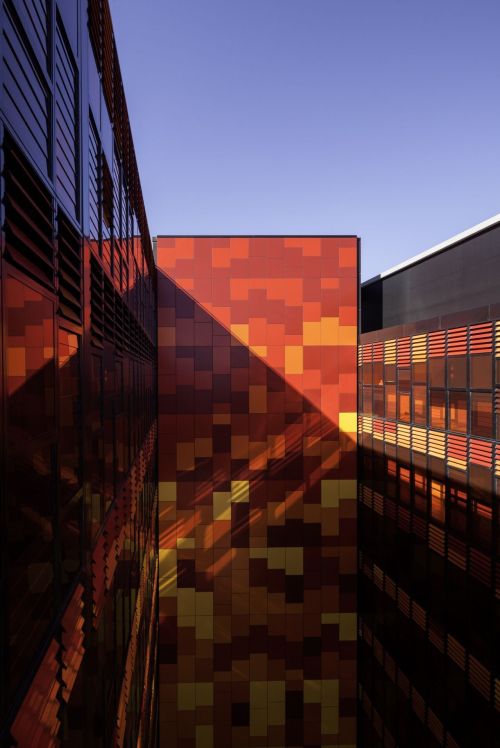 Sunday Apartments By Woods Bagot via Archdaily
