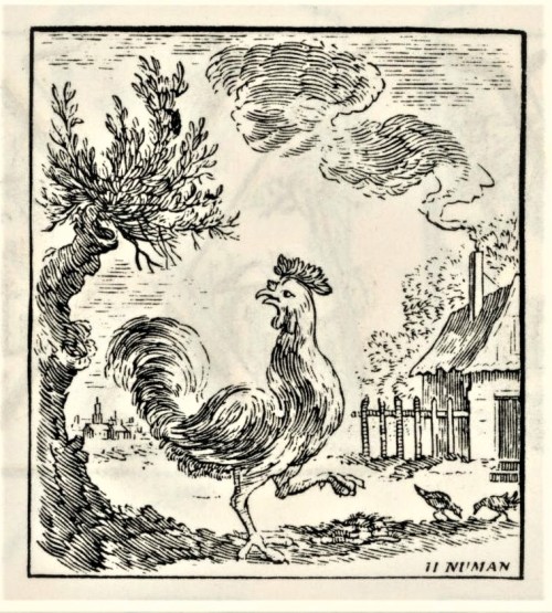 uwmspeccoll: Dutch-Foundry Feathursday Roosters ROOSTERS!!This past Typography Tuesday, we