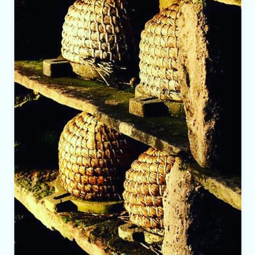 In love with these Sun &amp; Skep Hives&hellip;