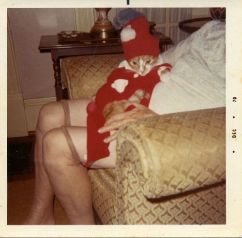 vintageeveryday:Found snaps capture lovely moments of “a cat at home” in the early 1970s