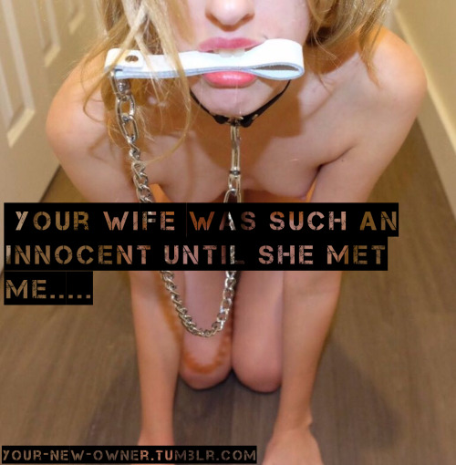 your-new-owner:Now she goes and puts her leash on when I’m having company so everyone knows they can