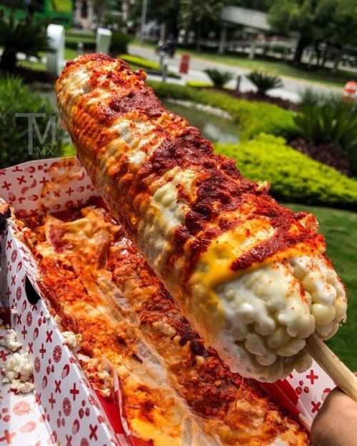 ilovemymariachilife:Now this is an elote. No chingaderas!!  Mexican as fuck.