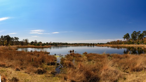 Dutch forest lake 6-10/? - 6: Waterliniepad, The Netherlands, May 20217-10:  Brabantse Vennenpad, Th