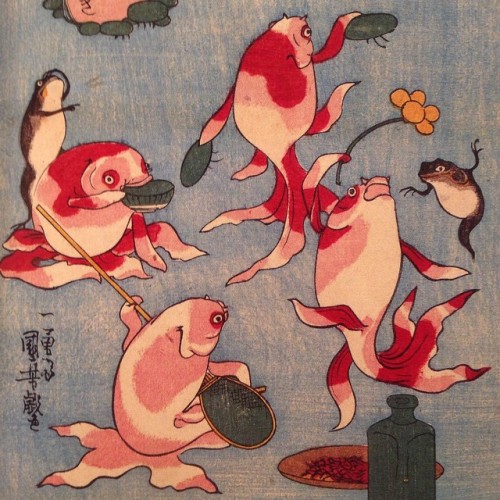 ilikehorimono:  歌川 国芳  金魚づくし “酒のざしき”  by UTAGAWA KUNIYOSHI by jiro_tftd https://instagram.com/p/20eUSKCrA9/