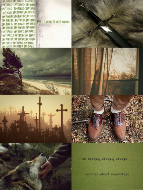 Aph Lithuania Aesthetic