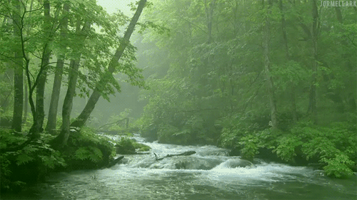 dirtyhippieproductions:Flow like a river☮  ❤ ॐ