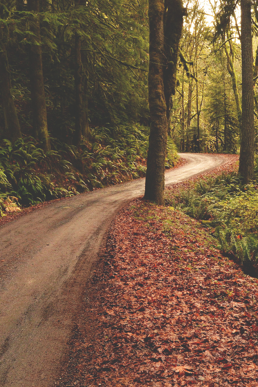 wnderlst:  Olympic National Park  