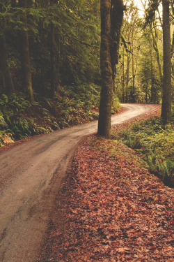 wnderlst:  Olympic National Park  