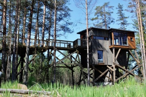 utwo: Welcome to Trehyttene ! Norway © trehyttene.no 