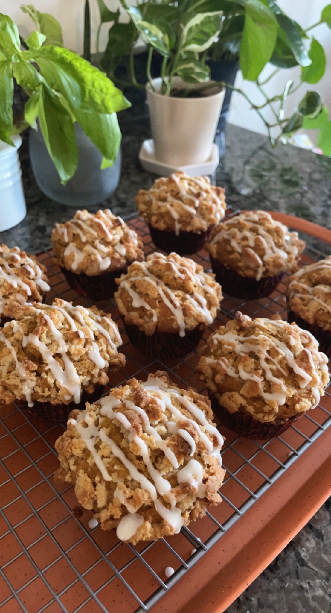 make-a-fist:everybody shut up and look at these pumpkin muffins i made 🤩🎃🍂