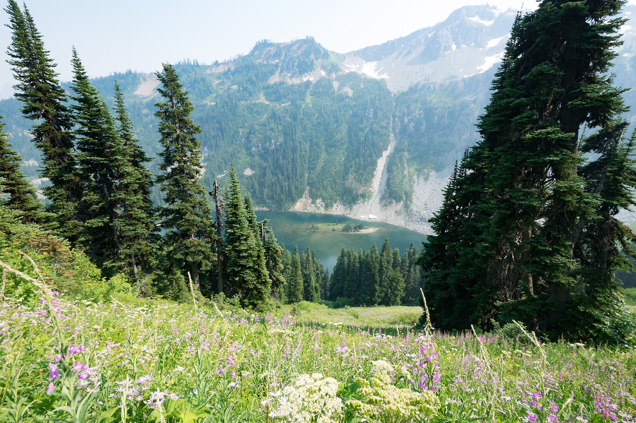 90377:Washington Hikes - Maple Pass Loop by clauretano