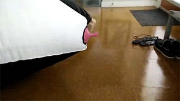 prettyboyshyflizzy:  sizvideos:  Worlds largest functioning whoopee cushion!Video