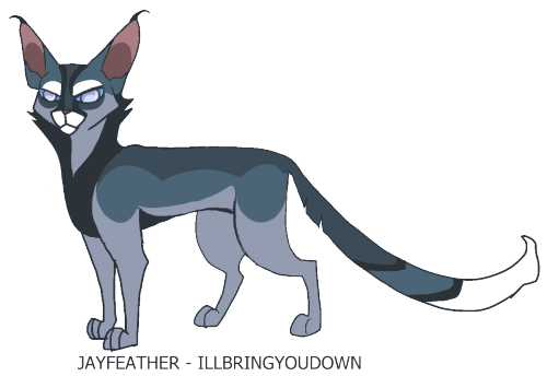 New Jayfeather! I honestly like this new design a lot ! (At least a lot more than the old one lol) 