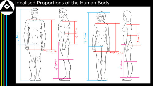 Drawing the Body (It's all in the proportions!)