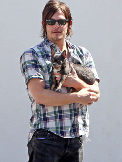 louislambastedlog:  Norman Reedus cleans up pretty well for the pooches. No Zombie mess here. 