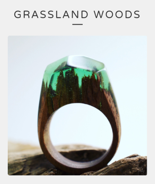 kylo-forever:  taurri:  All of the rings are handmade and unique. Made with fresh wood, jewelry resin and beeswax.   The rings are designed and made by Secret Wood exclusively.  http://woodring.bigcartel.com/products  SHUT UP AND TAKE MY MONEY 