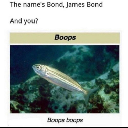 badsciencejokes:I love boops — view on Instagram https://ift.tt/3s6sPMz