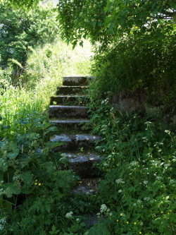 abandonedography:  These old stone stairs